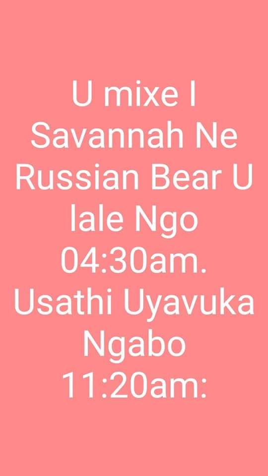    I scrome     vukani guysSavanna + Russian bear1/3