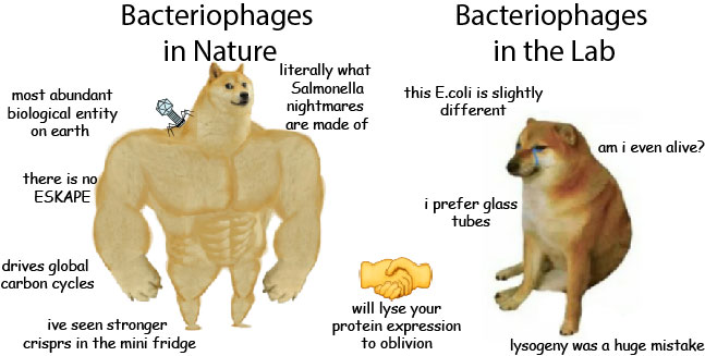 Happy Friday everyone!