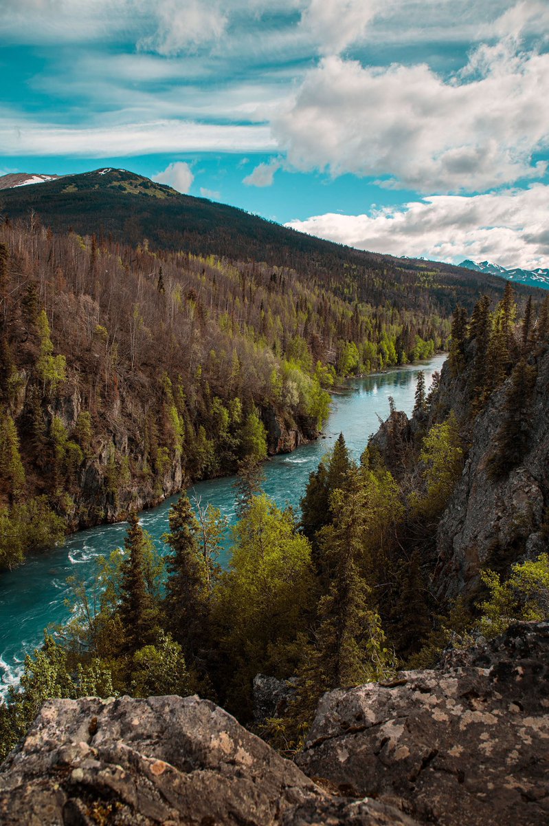 Cherith Brook tweet media