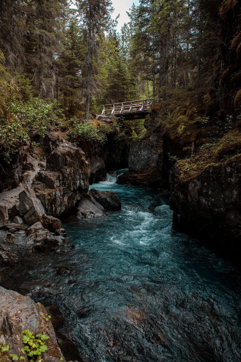 Cherith Brook tweet media