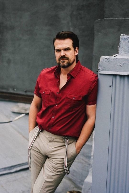 Happy Birthday David Harbour! 