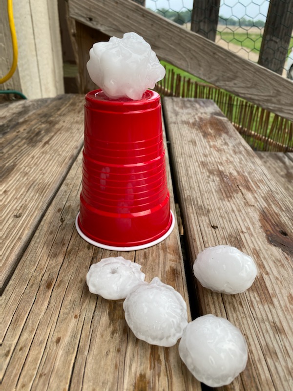 TREMann10's tweet photo. Hey @FOX4 check out these hail sizes we just got south of Venus, TX https://t.co/ciDrdcHOW3