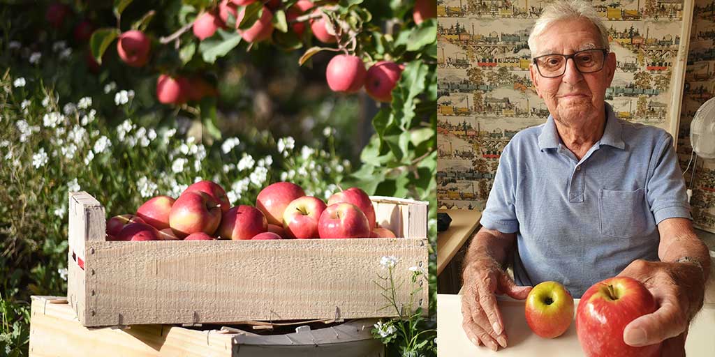 Where did the Pink Lady® apple get its name from? Find out from, Mr John Cripps who developed the Pink Lady® in our story 'Congratulations Mr Cripps', where we celebrate his 94th birthday. READ MORE - LINK IN BIO #apshare