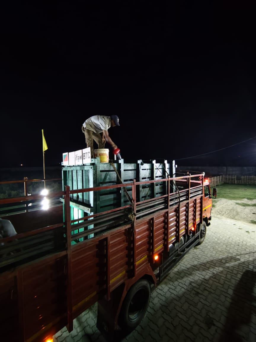wti_org_india's tweet photo. With multiple stops through the night to  monitor the #rhinos, the convoy reaches its destination #ManasTigerReserve 
Fulfilling our commitment on #BringingBackManas with 3 more #rehabilitated #rhinos fm #CWRC 
#AssamPride
@vivek4wild @sarbanandsonwal https://t.co/z6rWS4shqD