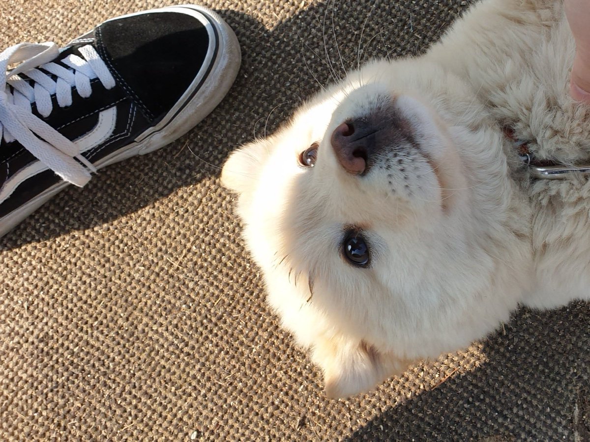 .                                      빨리 만져