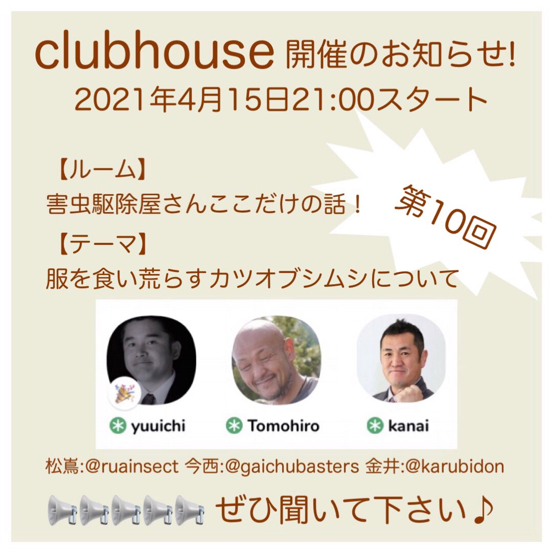 ヒメカツオブシムシ ヒメカツオブシムシ