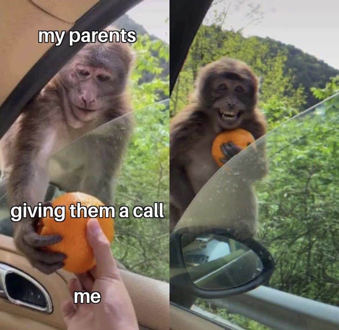 Respectful Memes (@respectfulmemes) on Twitter photo 