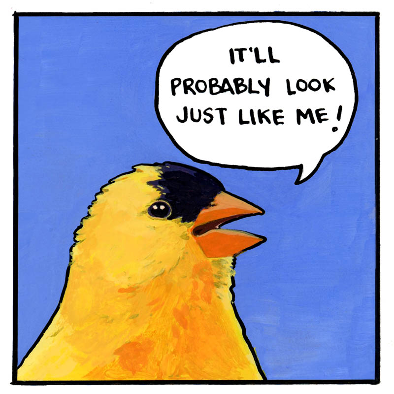 o, sky egg