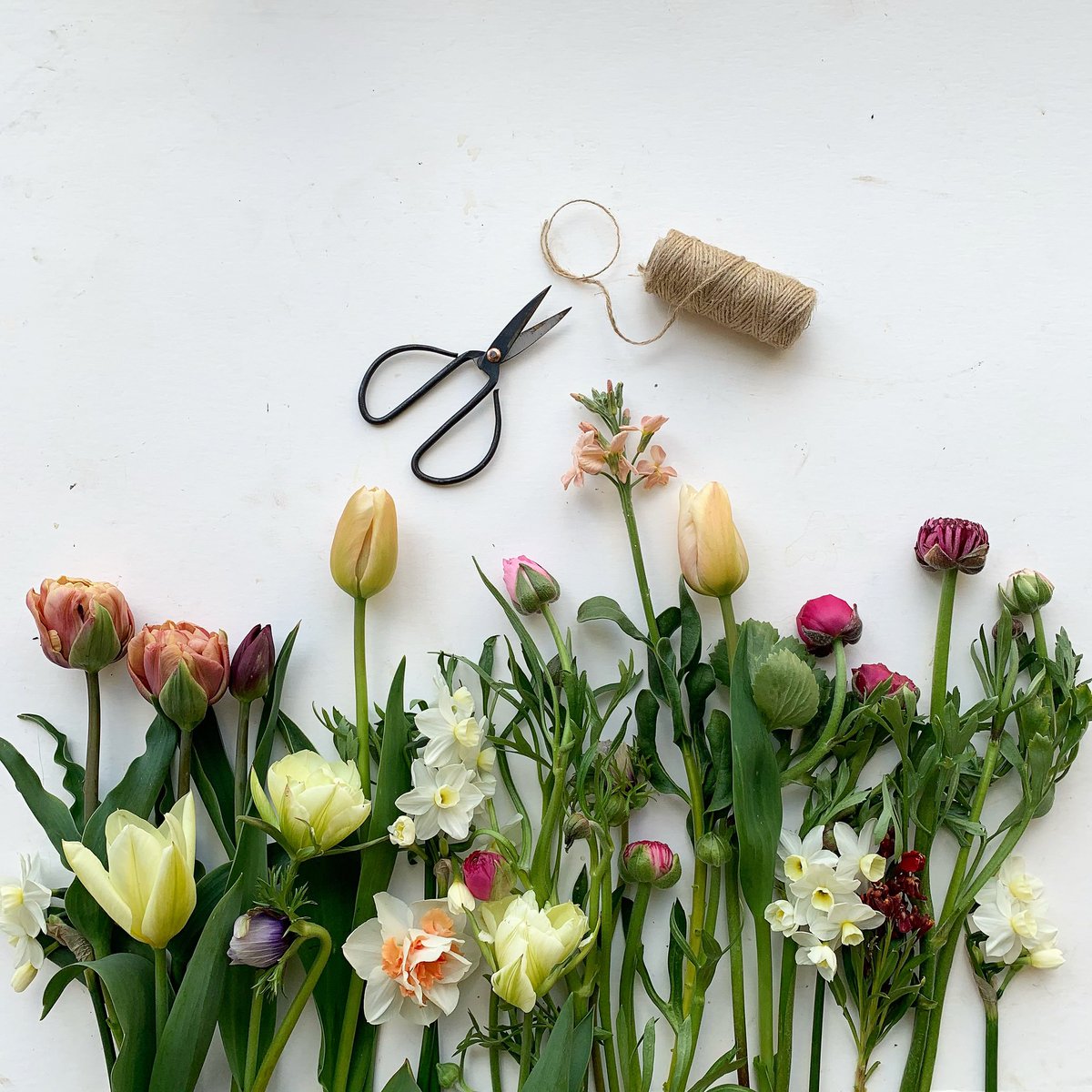 🌱 Homegrown spring flowers, nothing quite like it! Pop in and see us next week for bundles of flowers and takeaway coffee when we open at 10am on Wednesday. On Thursdays and Fridays pop in for <a href="/alixcakesmith/">Alix Fauvel</a> homemade cakes and coffee. I think we are definitely due a treat!