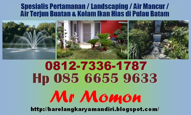 0812-7336-1787 Jasa Percantik Taman dengan Air Terjun Buatan di Batam

batam-pemborong.blogspot.com/2021/04/0812-7…

#BatamCenter #Barelang #Batam #PertamananBatam #AirMancurBatam #AirTerjunBatam #TamanBatam #ReliefBatam #LandscapingBatam #TukangTamanBatam #KolamIkanKoiBatam #SilaturahmiTanpaHenti