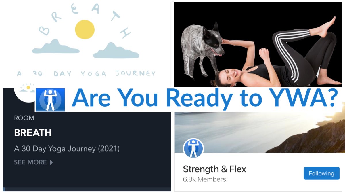 01/01/2021 Started YogaWA 30day BREATH  @yogawithadriene , yes, like thousands of others. And loving it. (Thread 18/23)