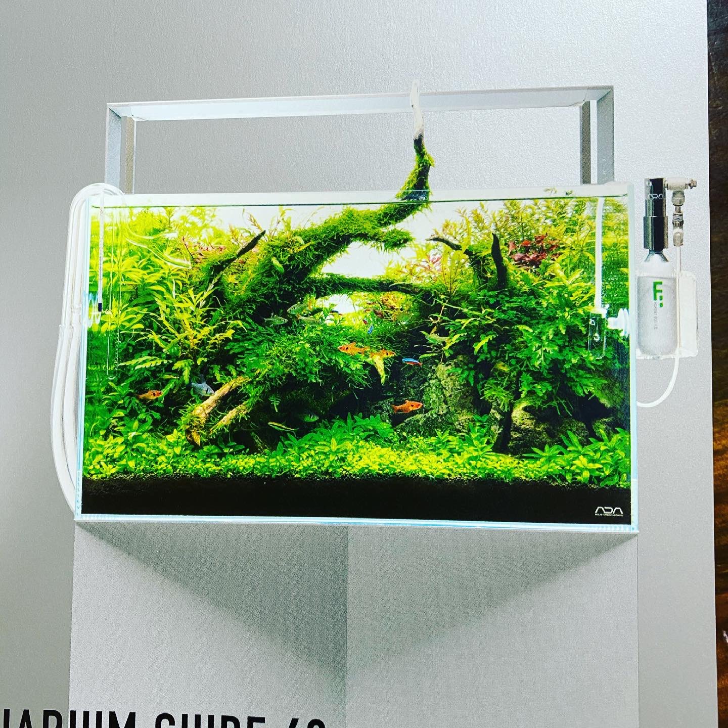 タチハラ Aqua Shop アレンジ Adaネイチャーアクアリウムガイド60が届きました 綺麗な写真で分かりやすく水槽スタート方法が記載されています お配りしてますので ご興味ある方はぜひ店頭にて Ada 水草水槽 Aquarium アクアリウム