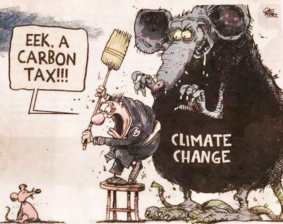 Climate Cartoon of the day: Watch up for the Carbon Tax!