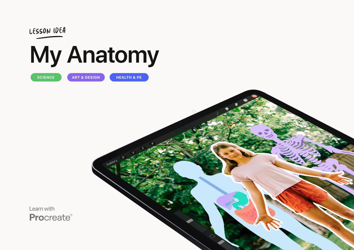 K-tuin Educación tweet media