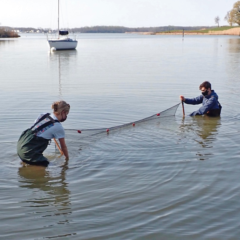 OregonRidge's tweet photo. Our Winter/Spring Interns spent Thursday morning seining at Rocky Point. The came back with lots of new specimens to restock our bay tank.
#ChesapeakeBay #Interns #BaltimoreCounty #NatureCenter #Seining https://t.co/tvzr5rRqjR