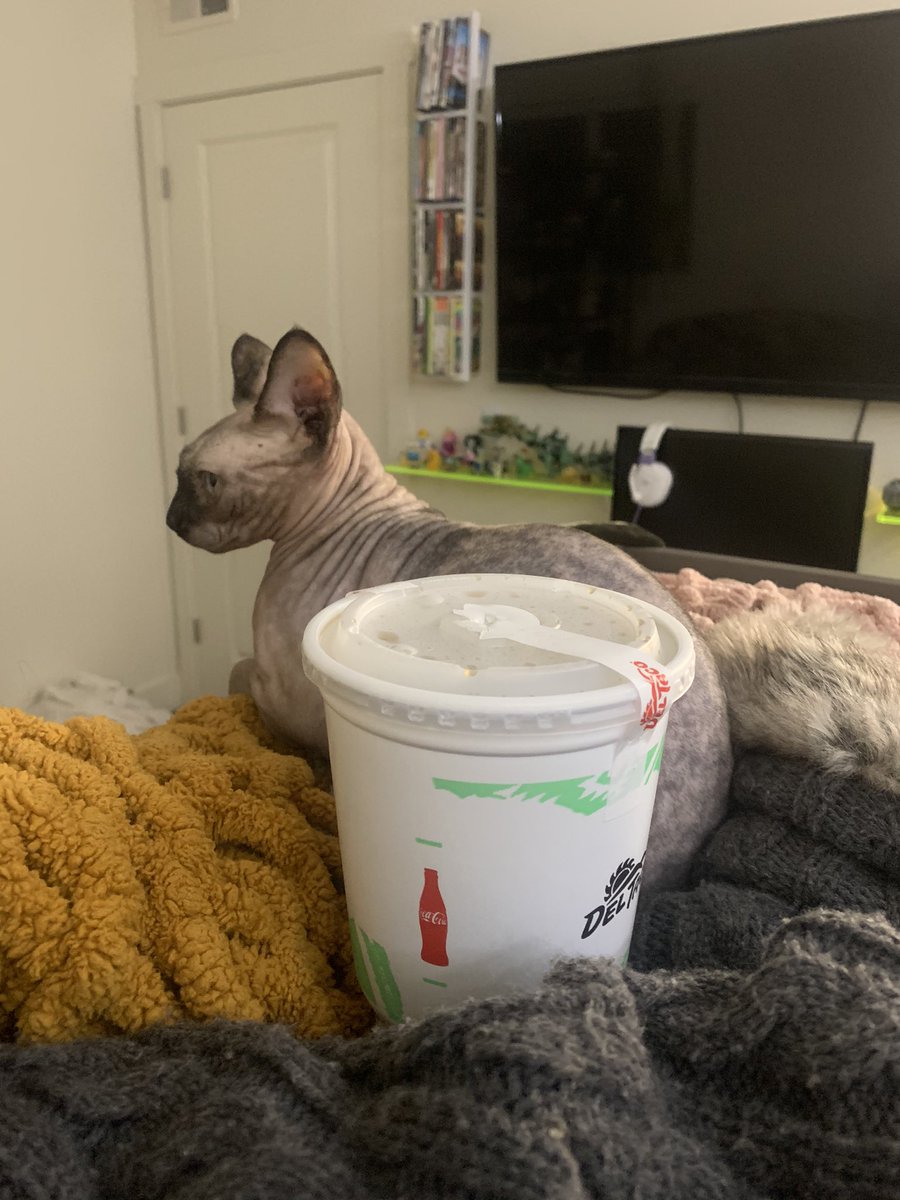 hairlesswinnie's tweet photo. doant toch my dogtor pepper https://t.co/7wxTGAXbEK