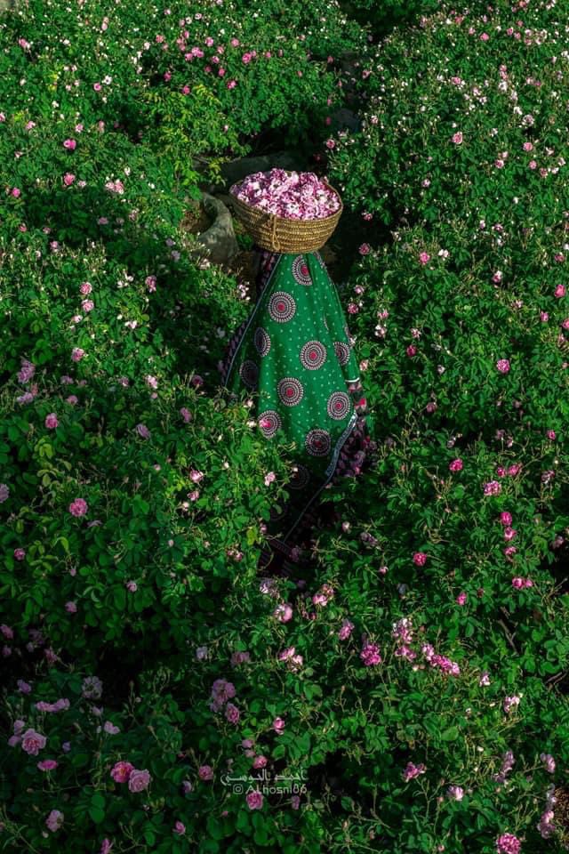 كانت السماء مرصعة بالنجوم، وشديدة الصفاء، بحيث إن من يتطلع إليها لابد أن يتساءل دون وعي: أيمكن تحت مثل هذه السماء، أن يعيش مختلف أنواع ذوي النفوس الحاقدة والمتقلبة الأهواء ؟؟

دوستويفسكي
الليالي البيضاء