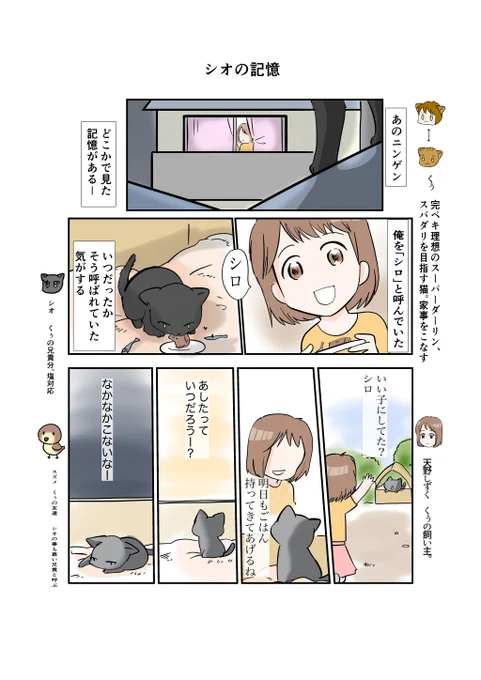 #スパダリにゃんこ くぅの日常 第71話 シオの記憶スーパーダーリンにゃんこのくぅと飼い主しずくの日常マンガ。くぅのノラ猫友達シオ。幼いしずくが出会った黒猫シロ。ベールに包まれた過去が明らかに…?#創作マンガ #マンガが読めるハッシュタグ 