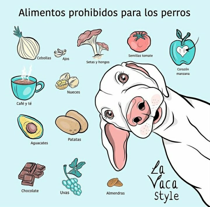 iwbevergreen's tweet photo. por si alguien lo necesita♡ https://t.co/f2gt0L24P1
