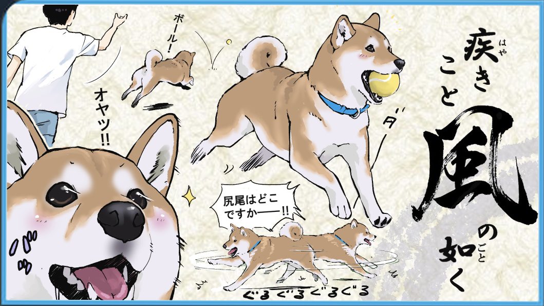 かわいいけどめちゃくちゃめんどくさい 柴犬で風林火山を表現してみた Togetter かわいいけどめちゃくちゃめんどくさい 柴犬で風林火山を表現してみた Togetter