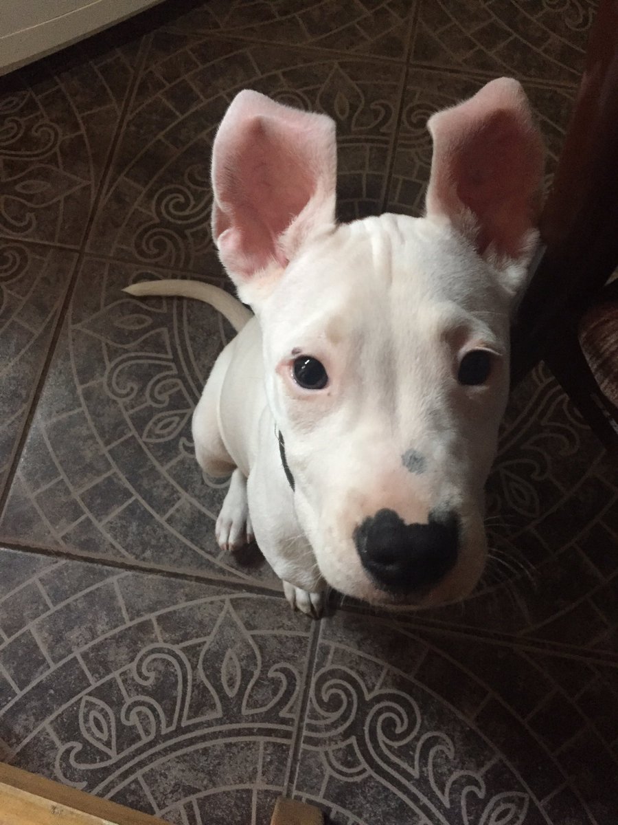 lusaez9's tweet photo. no paro de extrañarte pedazo de mi corazon, ojala un día vuelva a verte, te amo🖤 https://t.co/kYENe9z2RL