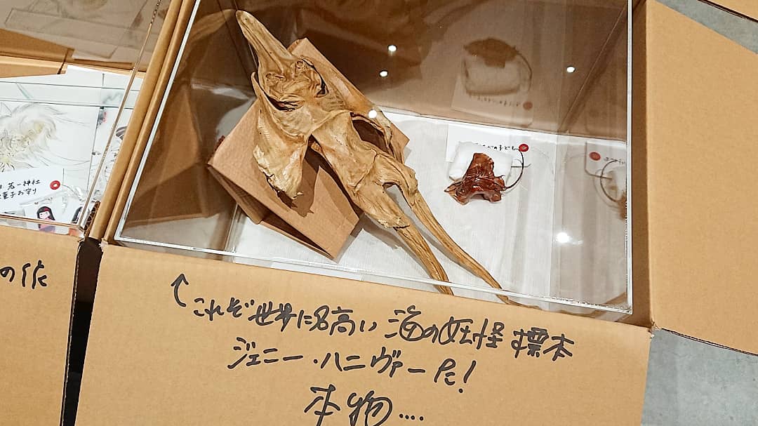 Cafe Bar Elixir 粕家 A Twitter 大好きな荒俣宏先生の妖怪伏魔殿 博物学王の集めた妖怪はどれも魅力的だった 宏お得意の段ボール展示 段ボールにアクリル置いてマジックで説明書きw もあり大満足 荒俣宏 妖怪 博物学 Uma ツチノコ ジェニーハニヴァー 件