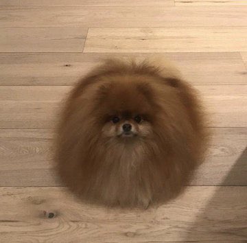 cuando tengo el pelo mojado / cuando se me seca