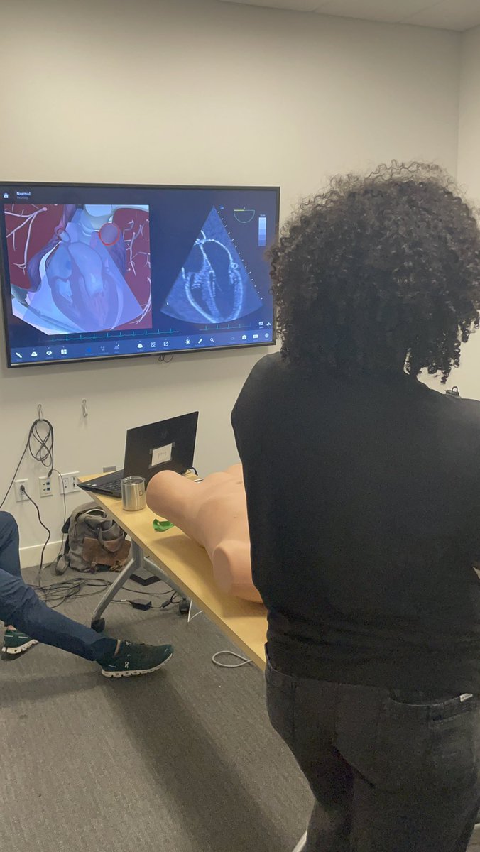 <a href="/JGANDRUS/">Jessica Andrusaitis, MD, MS</a> <a href="/KpSono/">KPSono</a> @eabramsMD <a href="/SonoBoss/">Dasia Esener</a> The next frontier for EM... Resuscitative TEE! We got this! #Vimedix