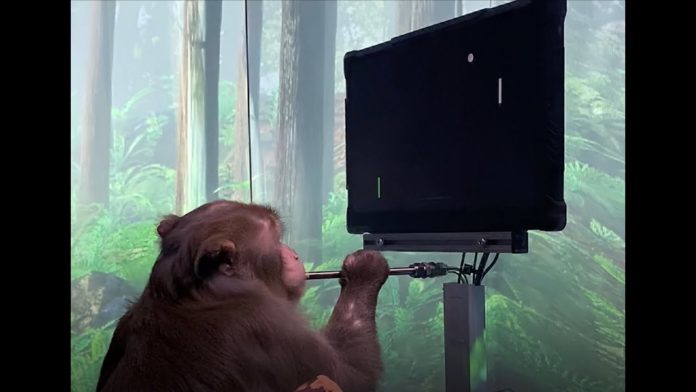 laifr's tweet photo. El gran logro de Neuralink: Controlar dispositivos o videojuegos sólo con la mente
https://t.co/yxvcBQGio7 https://t.co/gSb33lion2