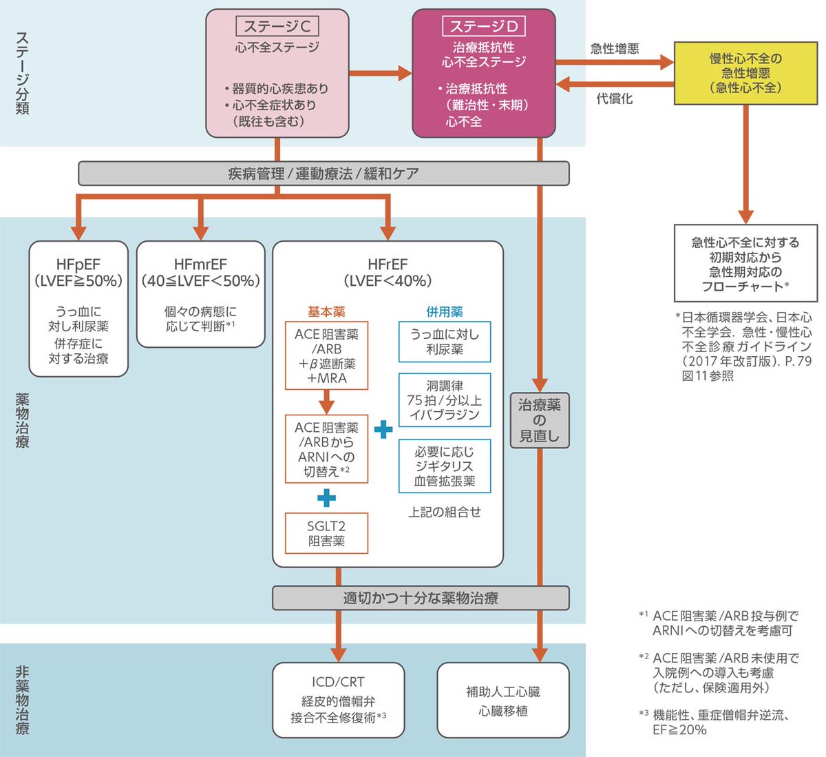急性・慢性心不全診療ガイドライン（2017年版）」が部分改訂 ・薬物