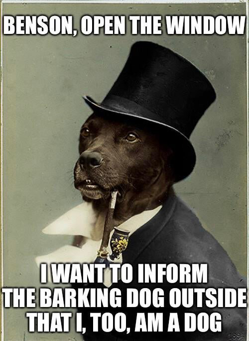 LabradorMemes's tweet photo. https://t.co/rUu4KD3lcE