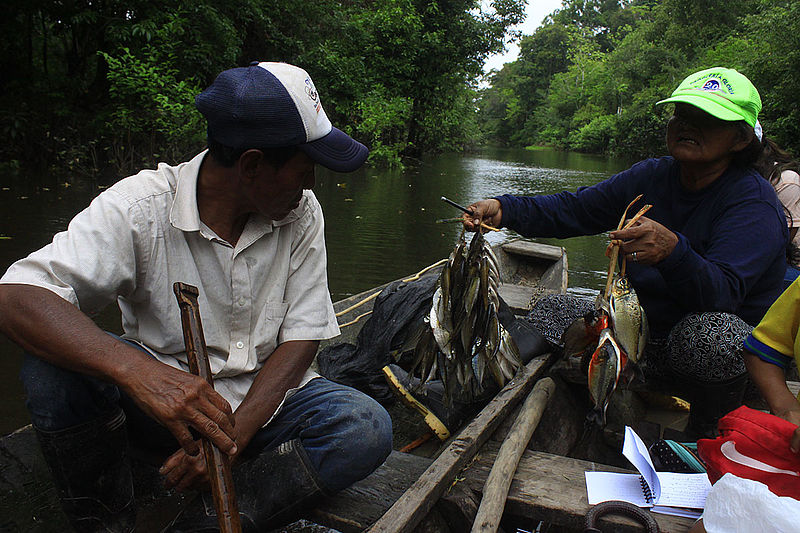 VRIUNAL's tweet photo. Boletín SIUN 530: Módulo #SemillerosUNAL y programa de capacitaciones Sistema @Hermes_UN / Pasantías @sibcolombia / @GreenTalents / Becas en 🇪🇺🇮🇩 @EuraxessLAC @IndonesiainCOL / #GESLABUNAL 2021 / Curso práctico SUMO @gaunalmed
📨https://t.co/ZMKAeeCbui
#SomosUNAL #UNAL https://t.co/NfQpGiKoBc