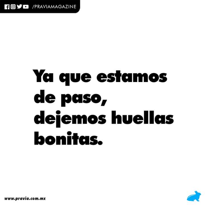 Pravia Magazine tweet media