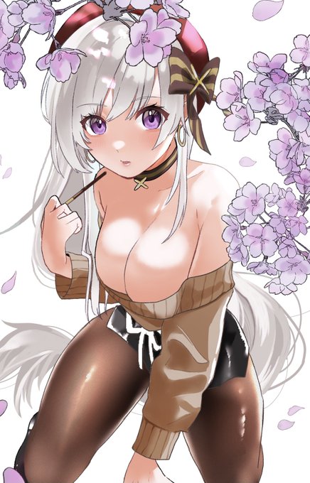 トリミング後のほうがかわいいかも…
#ベルファスト 