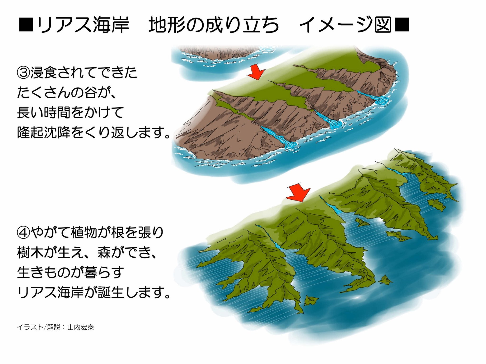 リアス アーク美術館山内 On Twitter リアスという言葉 リアス式海岸など 普通に使っていますが 改めて説明するってなると 意外と難しかったりして