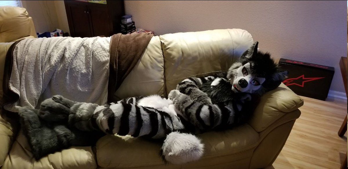 hades_warpig's tweet image. FIRST FURSUIT FRIDAY. Thank you SO much Jesse, I am absolutely in LOVE! #FursuitFriday 

✂️:@FrosstFursuits