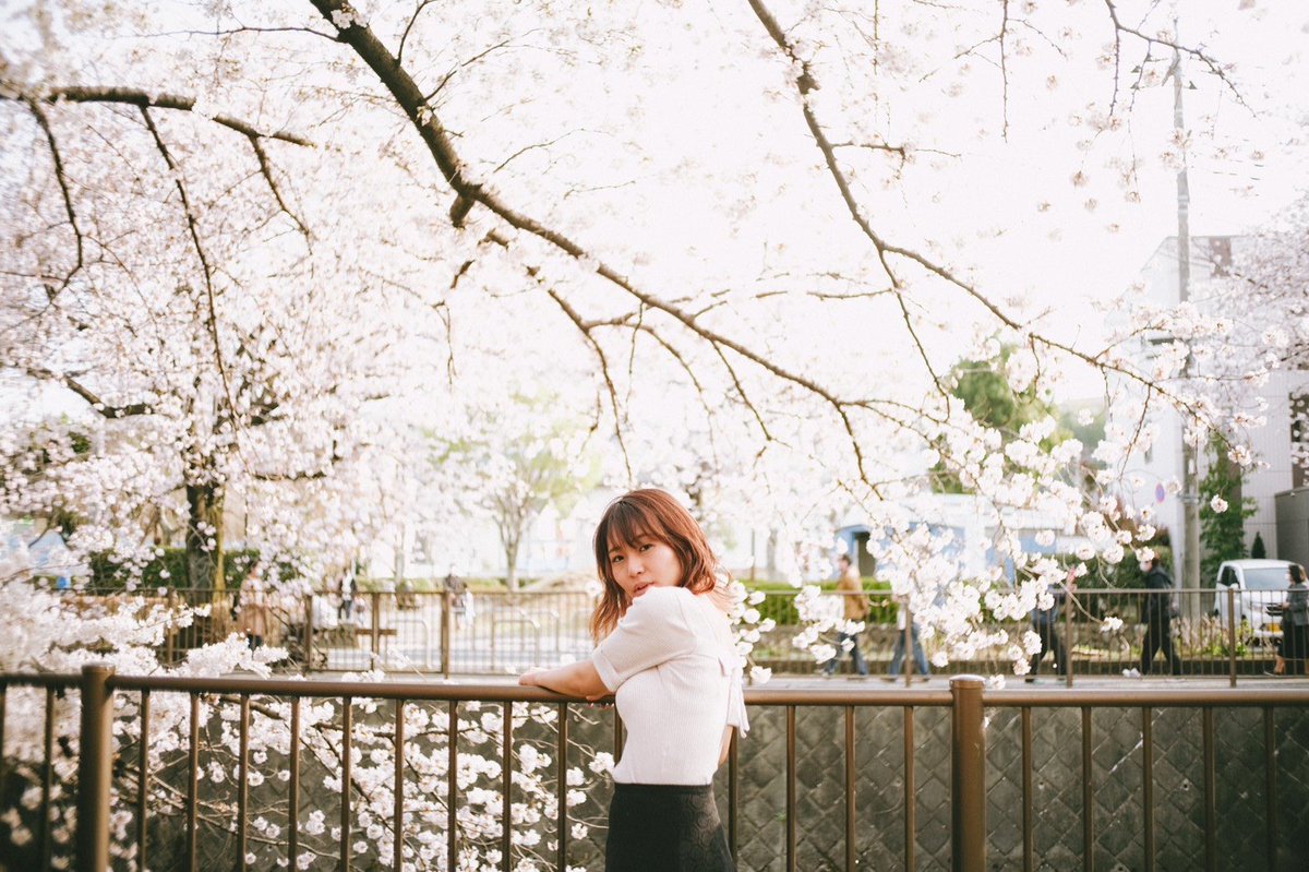 桜。綺麗でした☺️💕

#portrait #photo #camera #ポートレート #ポトレ #カメラマン募集 #カメラマンさん募集 #被写体やります #被写体になります #桜 #春 #花 #桜並木 #彼女