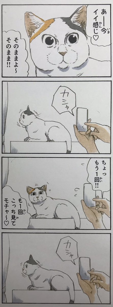 『拾い猫のモチャ2』収録 