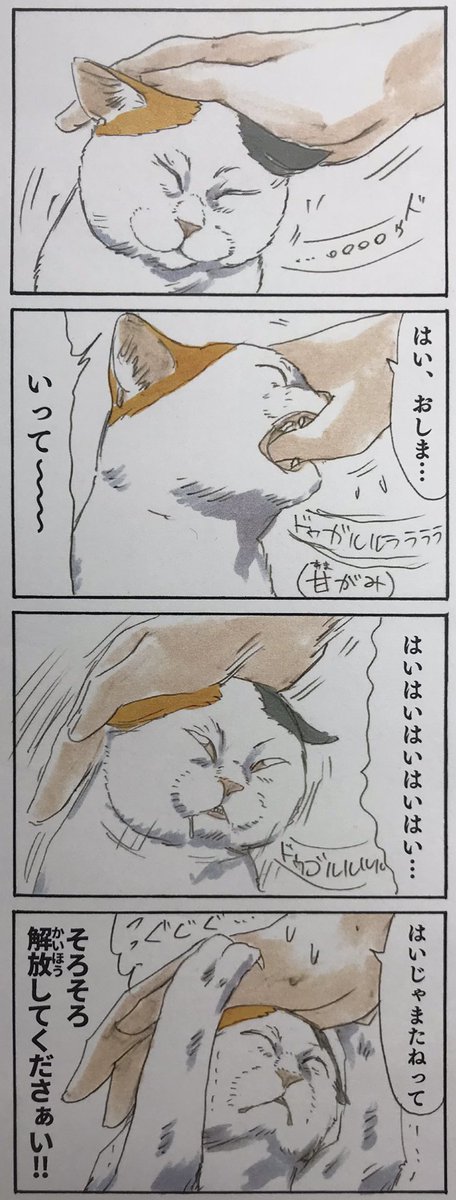 『拾い猫のモチャ2』収録 