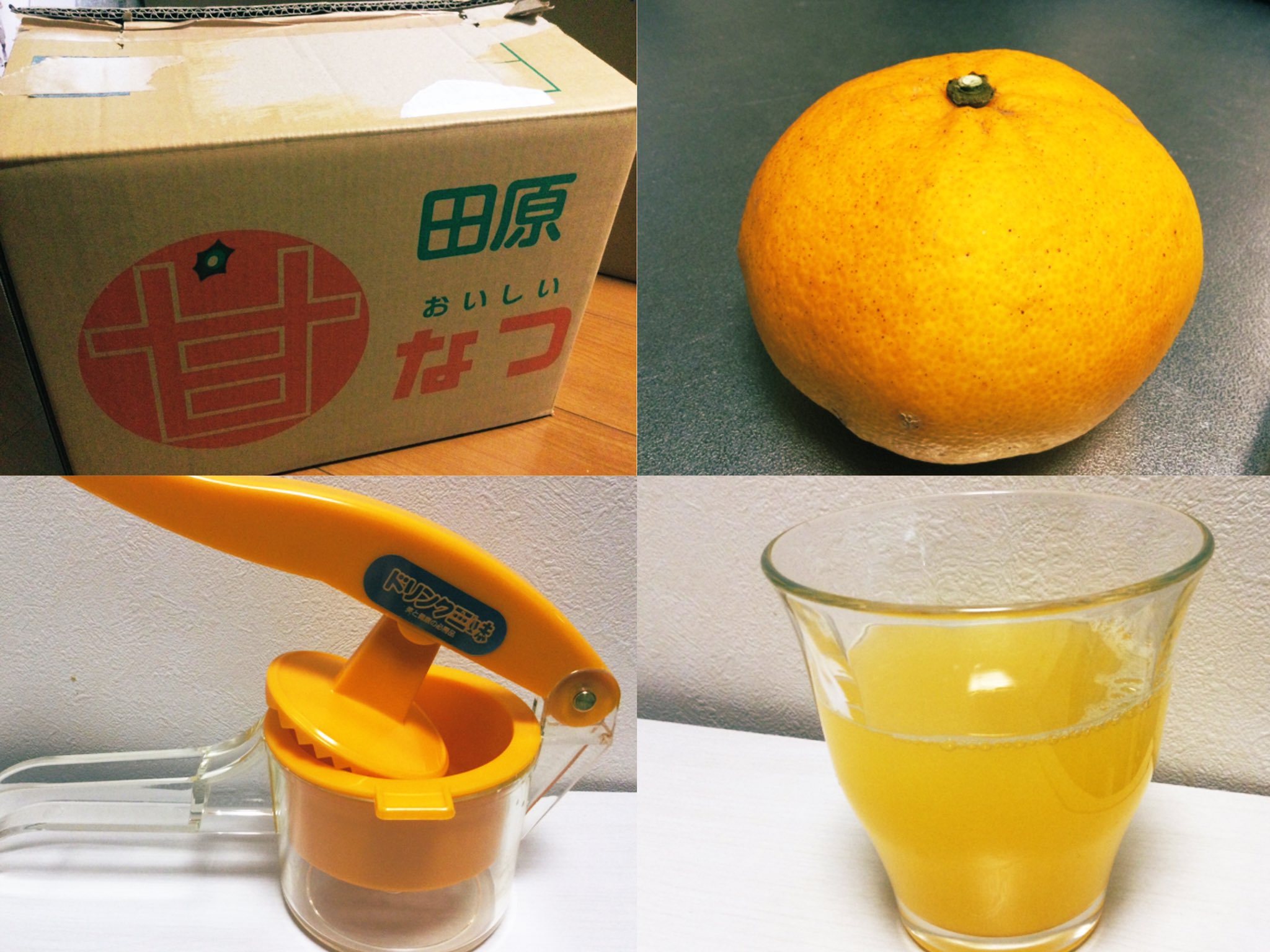 約30個 - Search / X