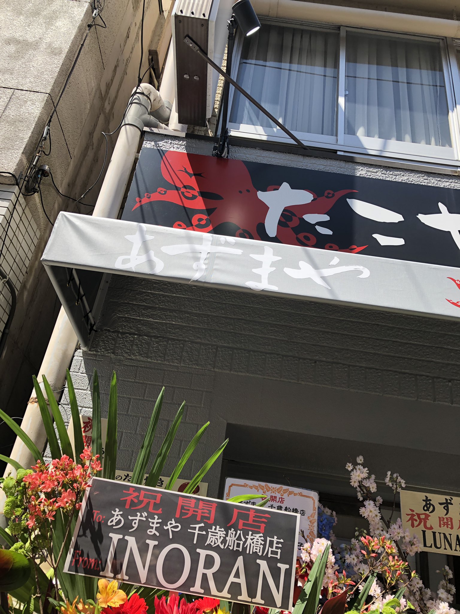 あずまや あずまや千歳船橋店 本日オープンです Luna Seaのメンバーさんからもお祝い花 いただいてました あずまやのフランチャイズ店舗 1号店です あずまや 千歳船橋 調布 下高井戸 新井薬師 たこ焼き Takoyaki お好み焼き 粉もん あずまや あずまや千歳船橋店 本日オープンです Luna Seaのメンバーさんからもお祝い花 いただいてました あずまやのフランチャイズ店舗 1号店です あずまや 千歳船橋 調布 下高井戸 新井薬師 たこ焼き Takoyaki お好み焼き 粉もん