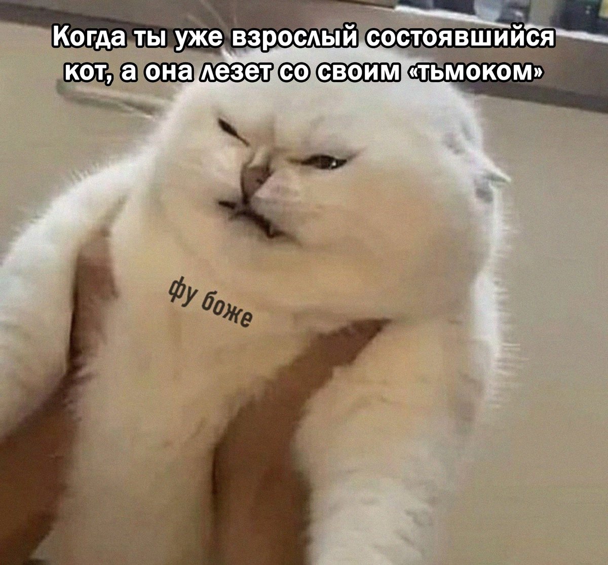 drunktwi's tweet image. 😿