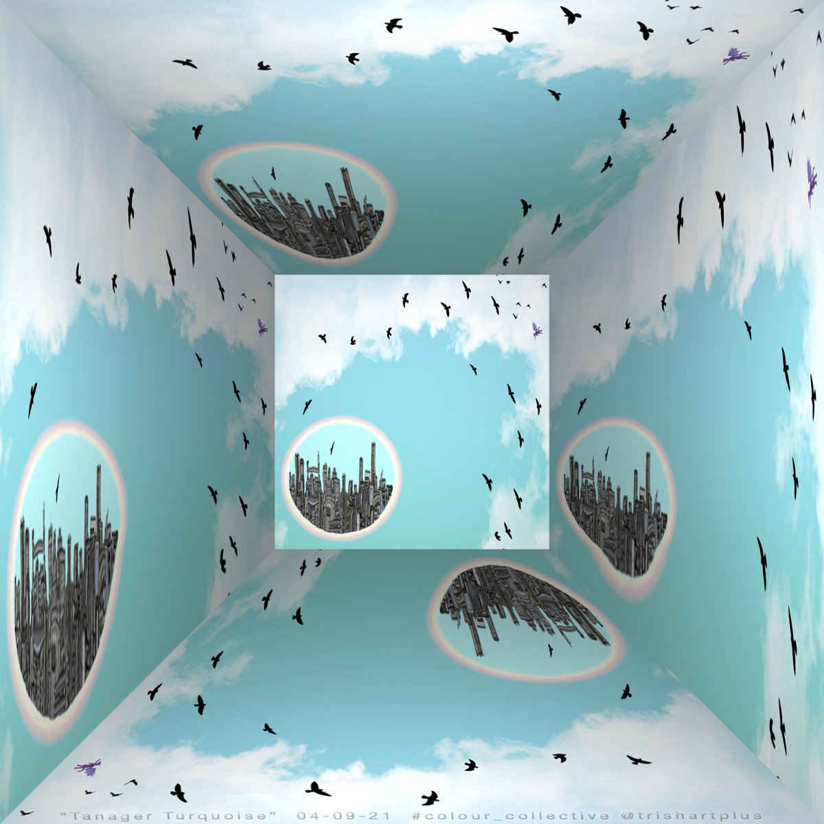 trishartplus's tweet photo. #colour_collective #TanagerTurquoise 3 of 3 https://t.co/t99IGKRbax