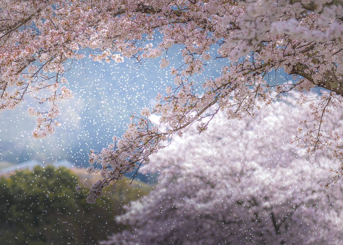 kaji_photochromism on Twitter: kaji_photochromism on Twitter: