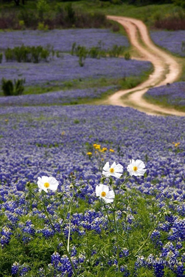 "Bisogna vivere con semplicità e pensare con grandezza."
(Wiliam Wordsworth)
#10aprile
🌞🌞🌞BUON SABATO.. 🌞🌞🌞🍀
