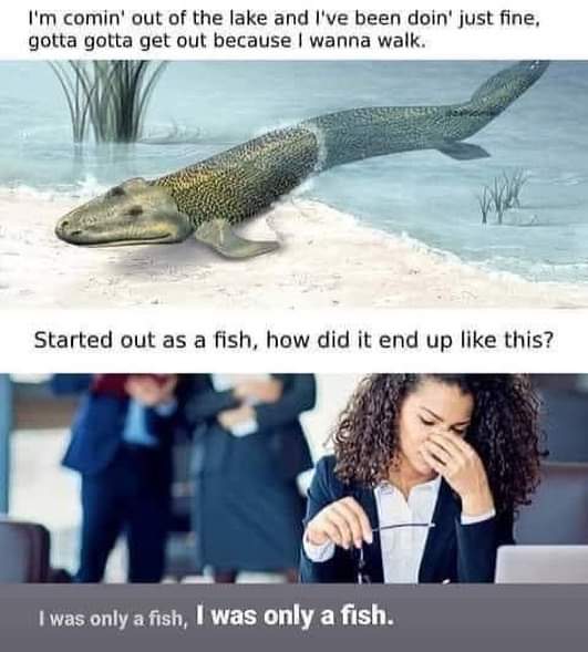 tabbyfoo's tweet image. I'm Losing control...