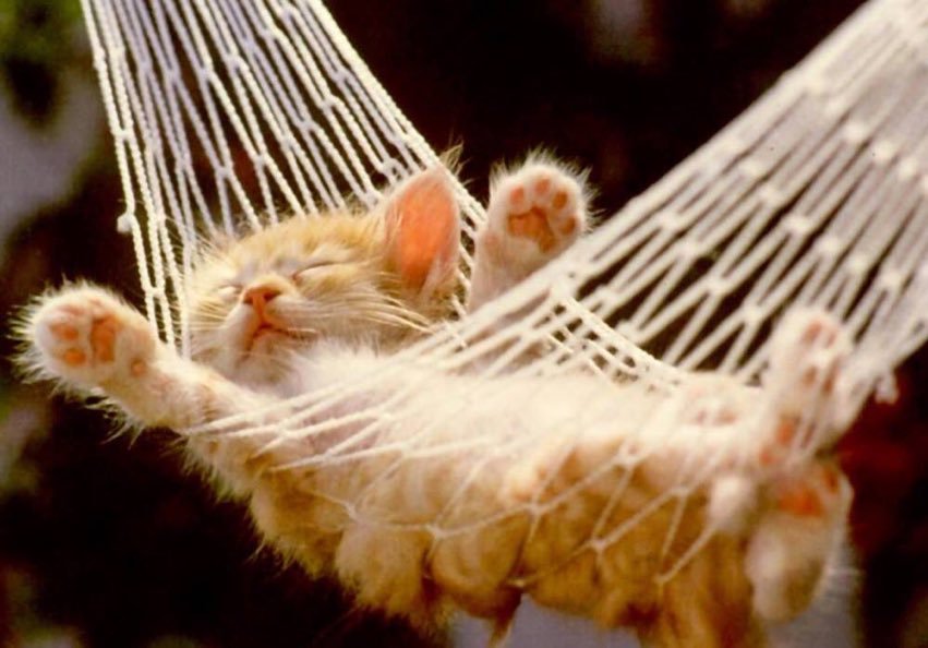 Dobro jutro svima vrijeme za relax🌞☕🌼🎶❤️😘