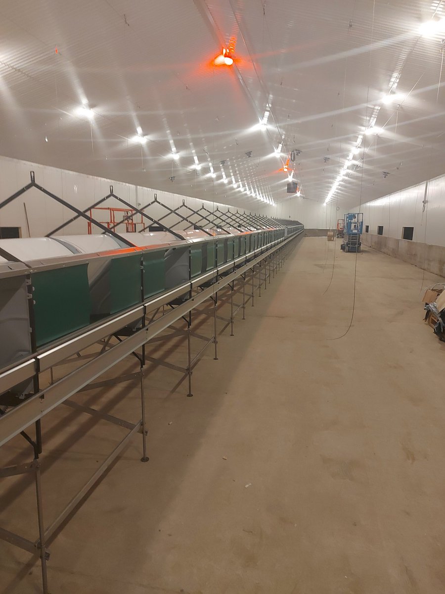 New Free Range Laying House started this week in Co. Cavan.
Vencomatic Grando Nest Boxes and Plastic Slats.
SKA Flat chain feeding system with A Frame Perching.
Lubing Nipple Drinking System.
HATO CORAX led lighting system.