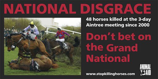 I have never and will never bet or take part in #TheGrandNational 

#StopTheCruelty #BoycottTheGrandNational