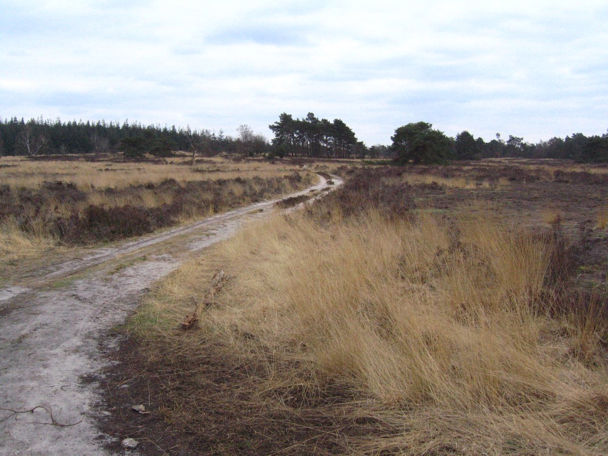 Angelfish888 tweet media